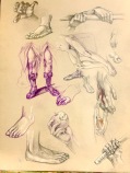 Study of hands and feet, 2016